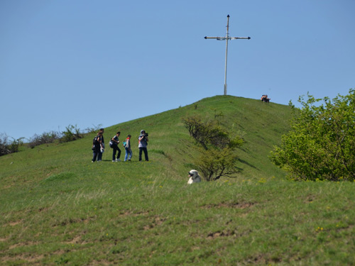 Foto Pe Piscuiul Ronei (c) Lucian Petru Goja